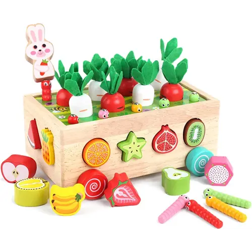 Toddlers Montessori Wooden Educational Toys for Baby Boys Girls Age 1 2 3 Year Old, Shape Sorting Toys 1st One First Birthday Girl Gifts for Kids 1-3, Wood Preschool Learning Fine Motor Skills Game