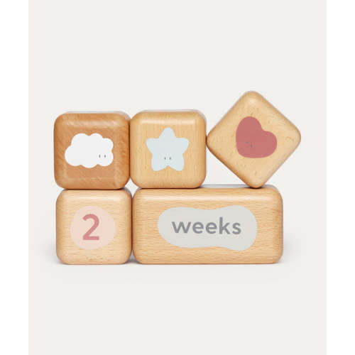Wooden Baby Milestone Blocks - Multi