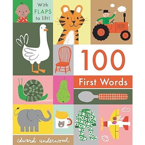 100 First Words: With Flaps to Lift