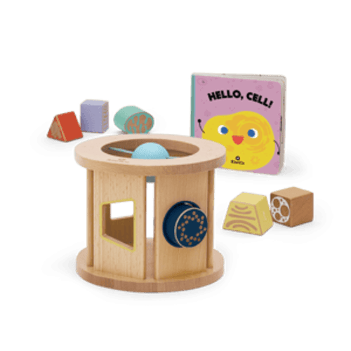 Biology Blocks Shape Sorter | KiwiCo