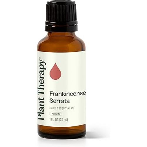 Plant Therapy Frankincense Serrata Essential Oil 100% Pure, Undiluted, Natural Aromatherapy, Therapeutic Grade 30 mL (1 oz)