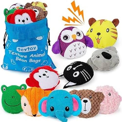 teytoy Sensory Bean Bag for Kids 10 Pack,Texture Sensory Beanbags,Sensory Toys for Autism,Animal Sensory Fine Motor Toys with Storage Bag for Boys and Girls