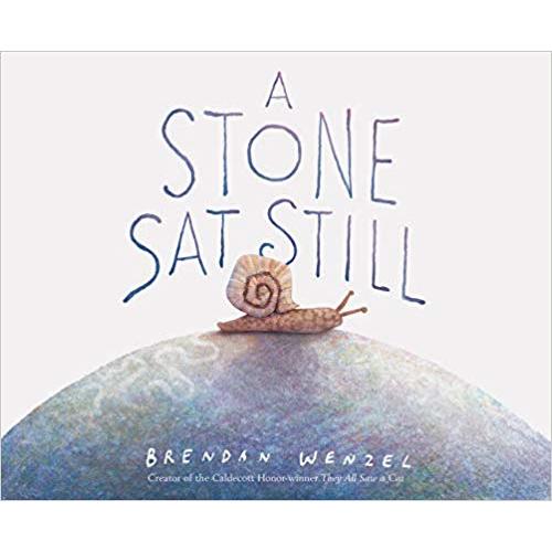 A Stone Sat Still: (Environmental and Nature Picture Book for Kids, Perspective Book for Preschool and Kindergarten, Award Winning Illustrator)