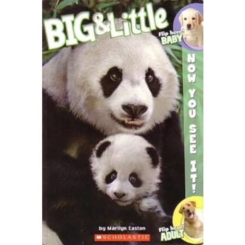 Big and Little Flip Here! Baby