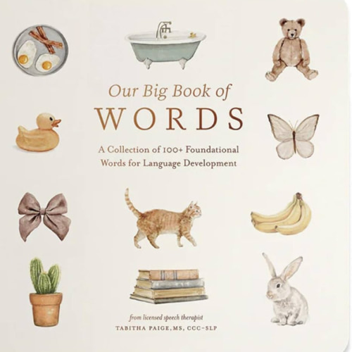 Our Big Book of First Words: A Collection of 100+ Foundational Words for Language Development (Our Little Adventures Series)