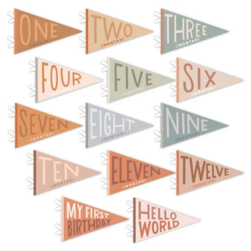 Mountain Fields Petit Milestone Pennant - Lucy Darling | Maisonette