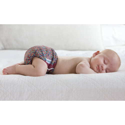 Organic Cloth Diapers - Best All-In-One Cloth Diapers | GroVia