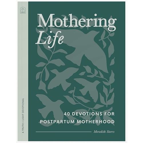 Mothering Life Devotional: 40 Devotions for Postpartum Motherhood - Equipping Moms with Encouragement and Wisdom Paperback – June 7, 2023