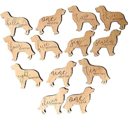Wooden Dog Monthly Milestone Cards, Golden Retriever Baby Photo Props, Hello World to 12 Months, 7pcs 5in