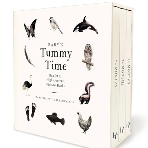 Baby's Tummy Time Book Box Set: A 3-Book Box Set of High-Contrast Art for Visual Stimulation at Tummy Time (Our Little Adventures Series)