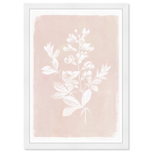 Olivia's Easel Botanical Illustration Iv Framed Art | Wayfair