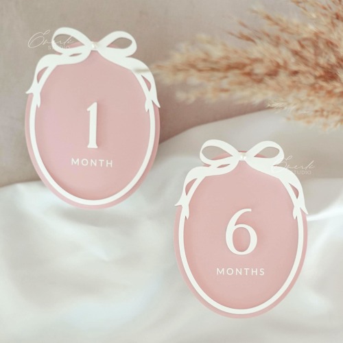 Baby Milestone Marker, Oval Bow Interchangeable Monthly Milestone Card, Baby Photo Prop, Birth Announcement Sign, For Baby, Baby Shower Gift