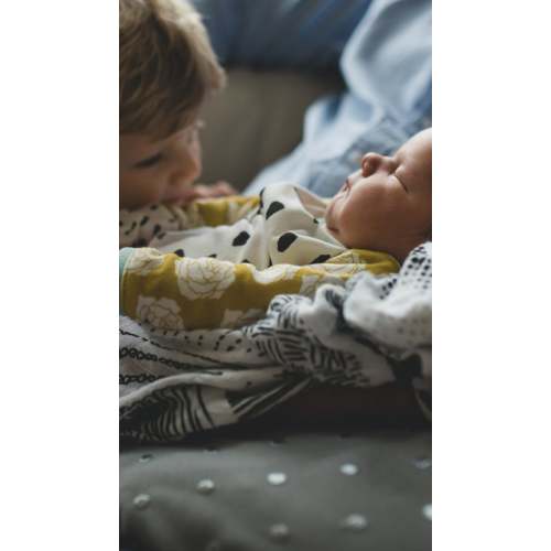 New Sibling Transition Online Workshop | Good Inside