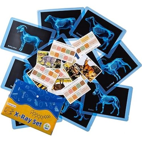 Farm Animal Xrays – 10 Pcs Animal Science Kit for Kids, Light Table Accessories for Vet Role Play & Preschool Learning
