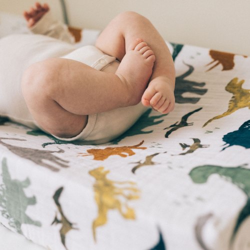 Cotton Muslin Changing Pad Cover - Dino Friends – Little Unicorn USA