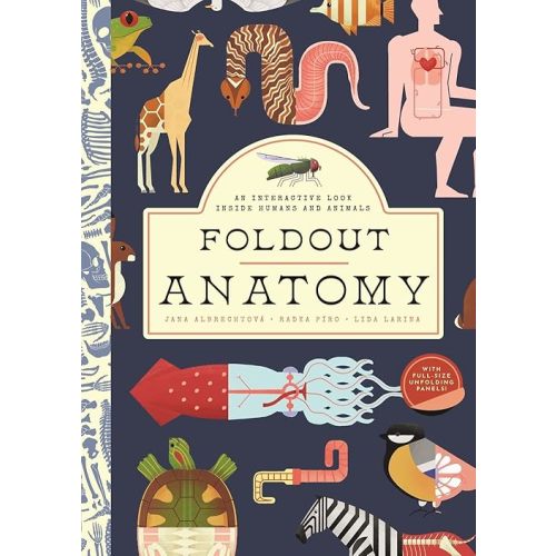 Foldout Anatomy: An Interactive Look Inside Humans and Animals Hardcover – Lift the flap, September 6, 2022