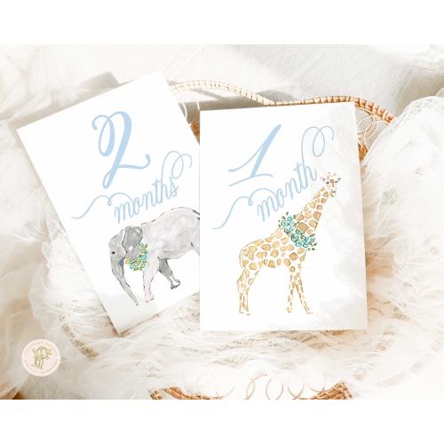 Boy Milestone Cards | Milestone cards | Safari | Baby Gift | New Mom | Gift Ideas | Baby Shower | Baby Month Cards | Memories | Baby Boy