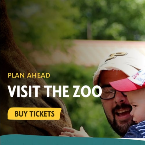 Indianapolis Zoo Membership Selection :: New Memberships