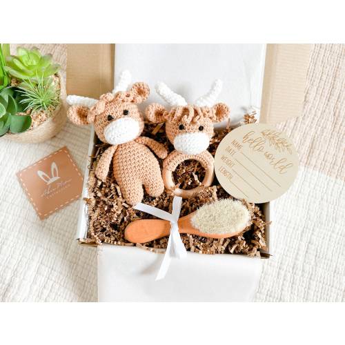 Baby Shower Gift Set|Cute Neutral Gift for Baby Girl,Boy|Crochet Amigurumi Highland Cow Toy and  Rattle|Welcome Gift, New Mom Gift