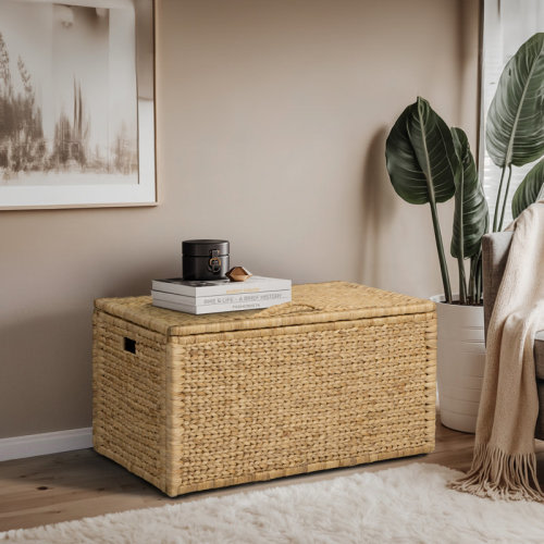 Bay Isle Home™ Heavy-duty Water Hyacinth Wicker Storage Trunk with Metal Frame & Reviews | Wayfair