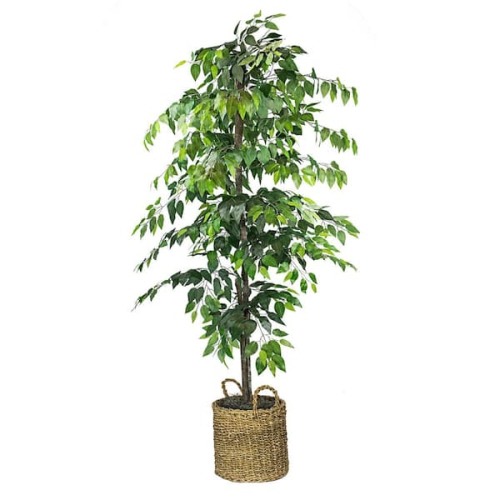 Artificial 6-foot Ficus Tree in Basket