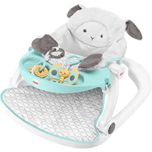 Fisher-Price Sit-Me-Up Floor Seat with Tray