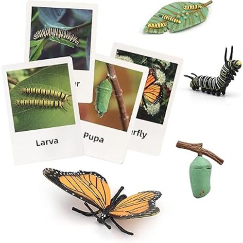 Montessori Life Cycle Animal Figures with Flash Cards, Plastic Insects Monarch Butterfly Kit Caterpillar Toy for Kids, Realistic Animal Figurines (Butterfly)