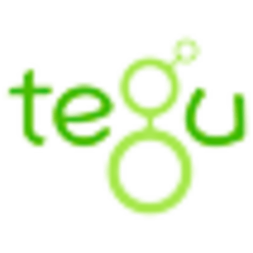 14-Piece Set Magnetic Wooden Blocks Tegu Classics at Tegu Toys