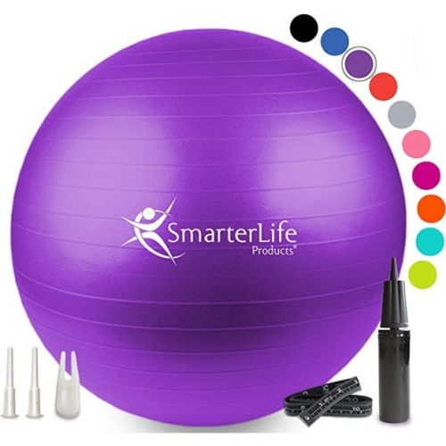 SmarterLife Products Exercise Ball