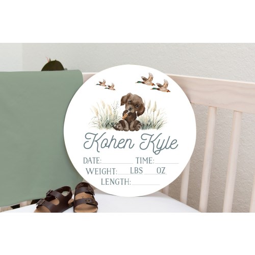 Personalized Mallard Duck Birth Stat Sign, Newborn Name Sign, Mallard Duck Nursery Decor, Toddler Birthday Gift, Duck Theme Adventure Awaits