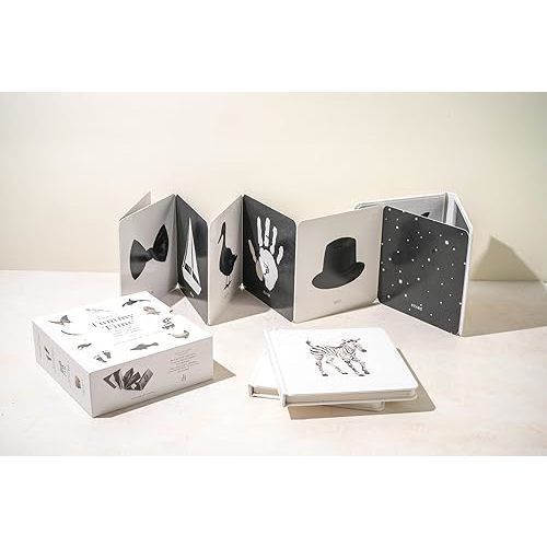 Baby's Tummy Time Book Box Set: A 3-Book Box Set of High-Contrast Art for Visual Stimulation at Tummy Time (Our Little Adventures Series) Board book – Picture Book, October 22, 2024