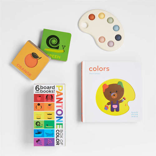 Artist Baby Gift Set