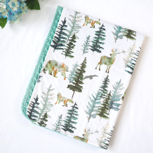 Redwood Rover Syrna Minky Baby Blanket | Wayfair