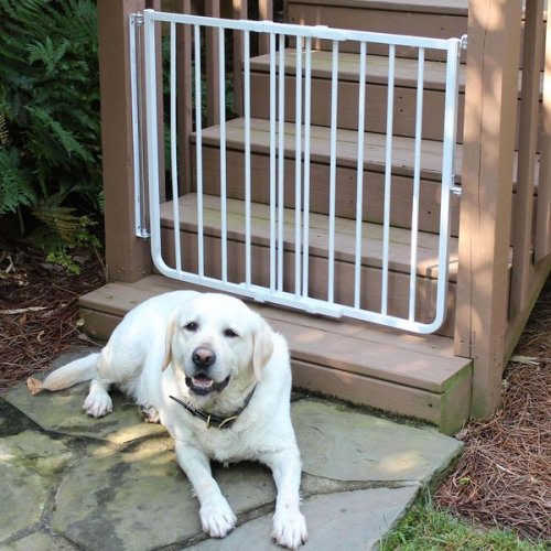 CARDINAL GATES Outdoor Dog Gate, White - Chewy.com