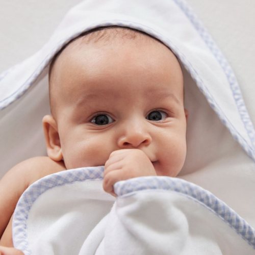 Gingham Baby Hooded Towels Light Blue| Pottery Barn Kids