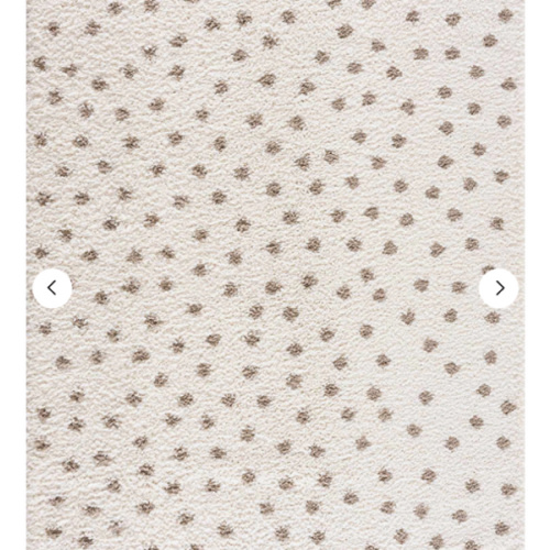 Chaia Dotted Cream & Brown Plush Rug