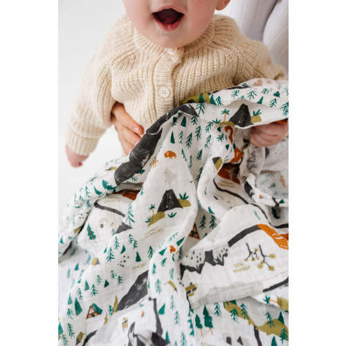 National Parks Swaddle (Mini Pattern) – Clementine Kids