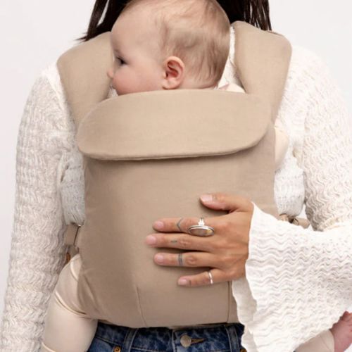 Desert Lark - Aerial Carrier – WildBird