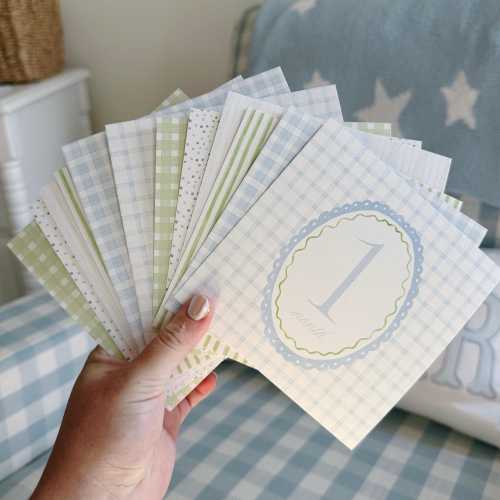 READY TO SHIP Watercolor Baby Boy Monthly  Milestone Cards | Blue & Green Grandmillennial Design