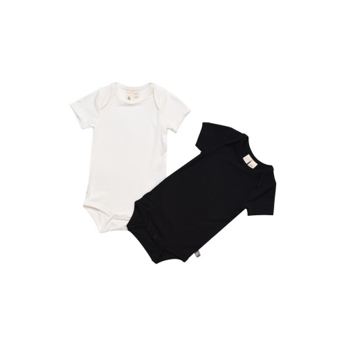 Assorted 2-Pack Bodysuits