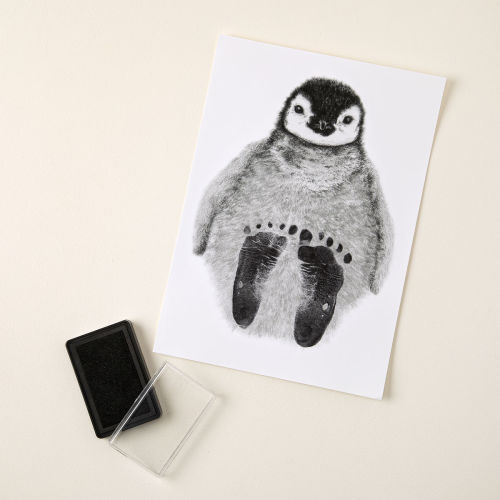 Furry Feet Baby Footprint Kit