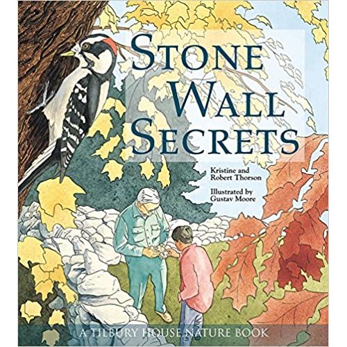 Stone Wall Secrets (Tilbury House Nature Book)