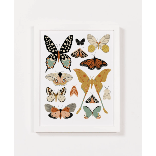 Butterfly Collector Art