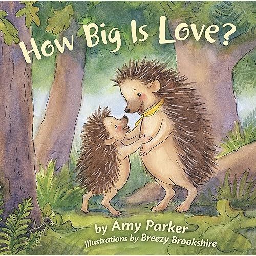 How Big Is Love? (padded board book) (Faith, Hope, Love) Board book – August 1, 2016