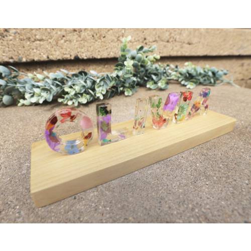 Custom Real dried flower letter name, Pressed flower resin nameplate, Gift for Her, Boho Nursery Decor, Girls Bedroom Decor, Girlfriend Gift