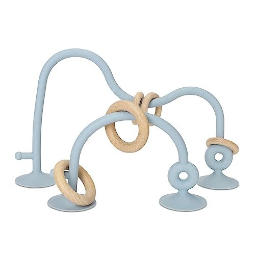 Socub Silicone Baby Sensory Toys, Montessori Educational Toys for Baby 6 12 18 Months, Parent-Child Toys with Suction Cup, 2 Pack(Dusty Blue)