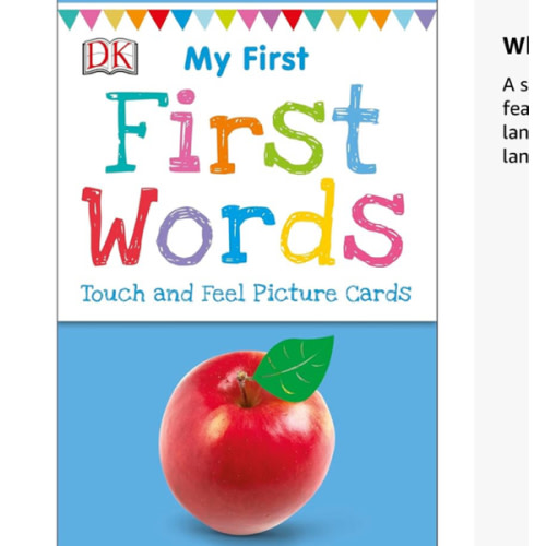 My First Touch and Feel Language Picture Cards: First Words (My First Board Books)
