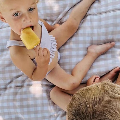 Compact Picnic Blanket