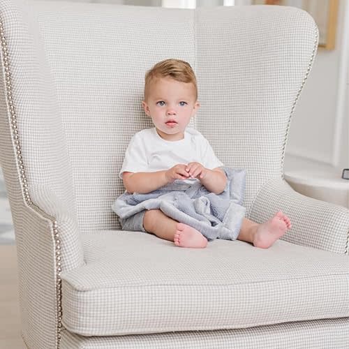 SARANONI Security Blankets for Babies Super Soft Boutique Quality Lush Luxury Baby Blanket (Mini 15" x 20", Storm Cloud)