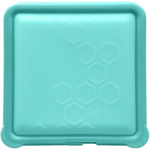 Big Bee, Little Bee - SoftShell Reusable Silicone Food Storage Container with Lid, Easy to Clean, Lays Flat, Snaps Closed, Microwave, Freezer & Dishwasher Safe, As Seen on Shark Tank (Aqua)
